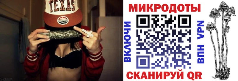 Галлюциногенные грибы Psilocybine cubensis  Белая Калитва 